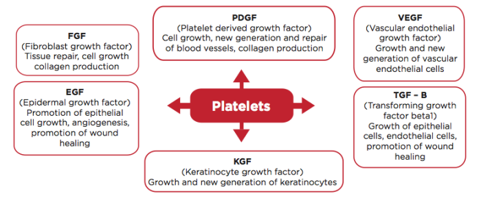 How PRP in San Jose clinic works?